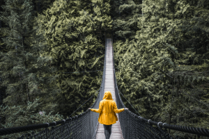 person crossing a rope bridge over a gorge