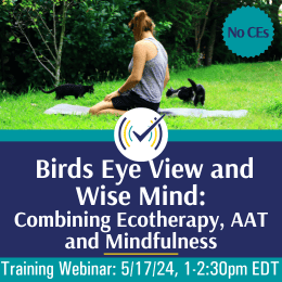 Birds Eye View and Wise Mind: Combining Ecotherapy, AAT and Mindfulness