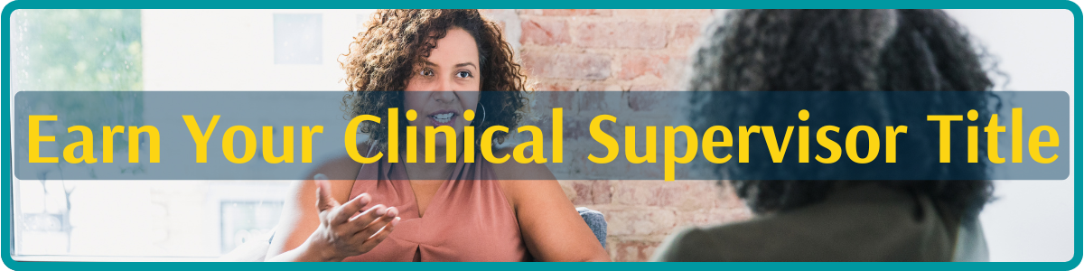 Clinical Supervision Training Bundles