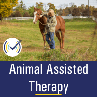 animal_assisted_therapy