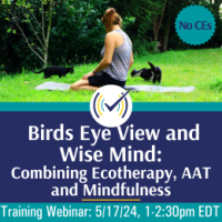 birds_eye_view_and_wise_mind_no_ce_live_training_thumbnail