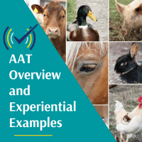 Animal-Assisted Therapy Overview and Experiential Examples