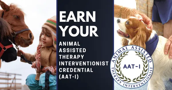 Animal Assisted Therapy Interventionist Webinar