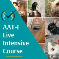 AAT Live Intensive